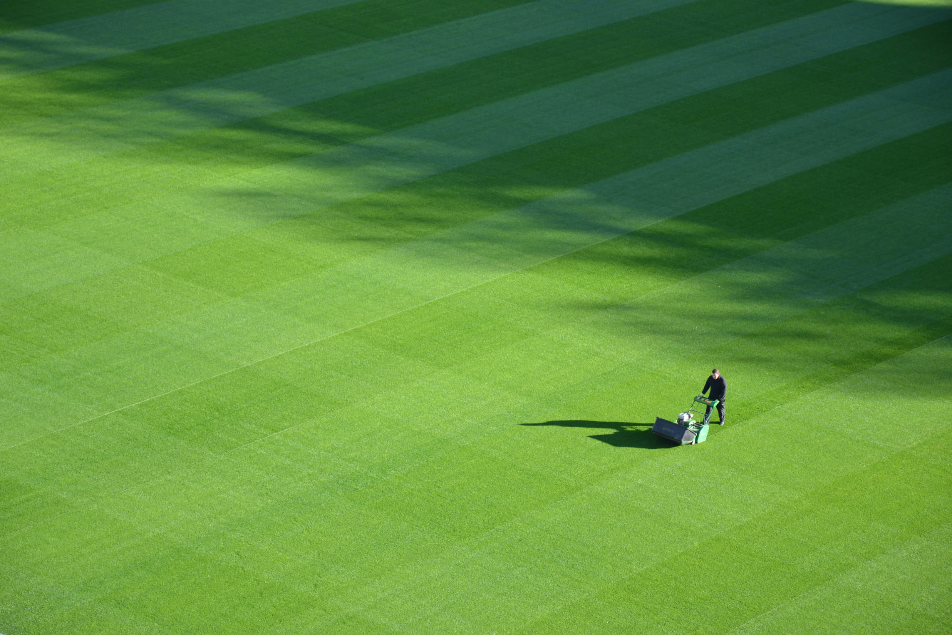 Stadium pitch mown in stripes